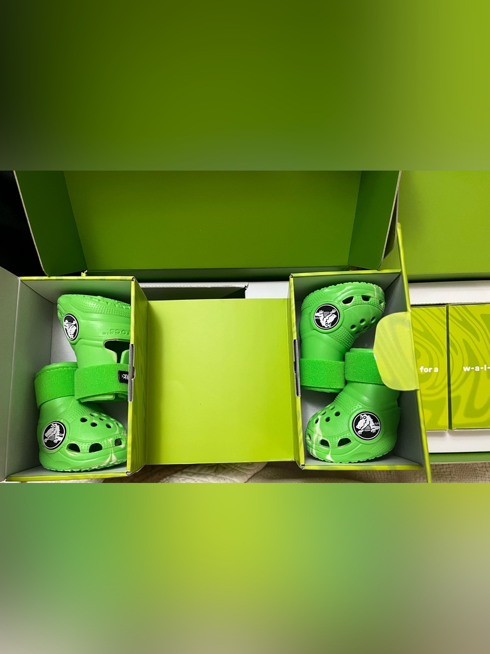 Crocs for Dogs - Picture 5 of 7